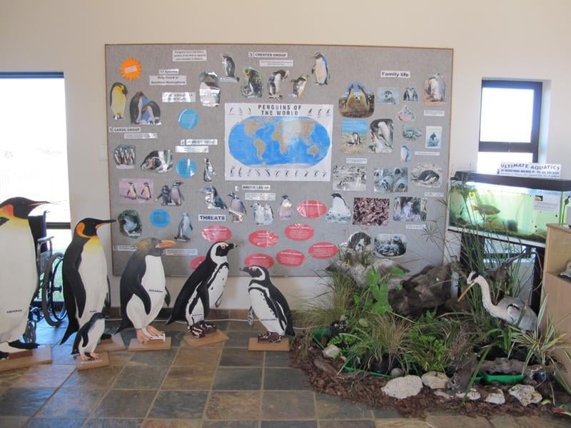 SAMREC - Marine Rehabilitation Centre