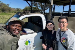 Schotia: Hele dag open safari voertuig met lunch