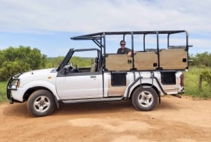Schotia: Open Safari Jeep - Morning or Afternoon Tour