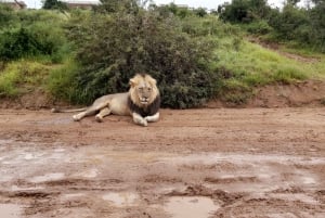 Schotia: Open Safari Jeep - Morning or Afternoon Tour