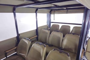 Schotia: Open Safari Jeep - Morning or Afternoon Tour