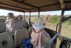 Schotia: Open Safari Jeep - Morning or Afternoon Tour