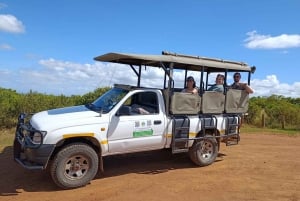 Schotia: Open Safari Jeep - Morning or Afternoon Tour