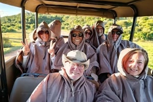Schotia: Open Safari Jeep - Morning or Afternoon Tour