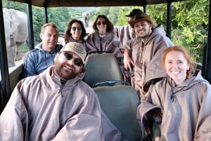 Schotia: Open Safari Jeep - Morning or Afternoon Tour
