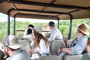 Schotia: Open Safari Jeep - Morning or Afternoon Tour