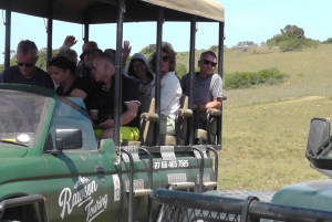 Schotia Safaris: Die besten Wildtier-Begegnungen in Port Elizabeth