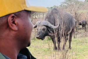 Experiência de safári particular no Schotia Safaris com jantar em Boma