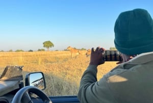 Experiência de safári particular no Schotia Safaris com jantar em Boma