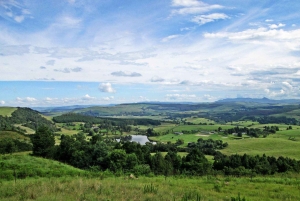 南アフリカ：ケープタウンからヨハネスブルグまでの12日間のツアー