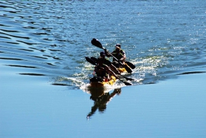 South Africa: Extreme Guided Kayak with Food and Drinks