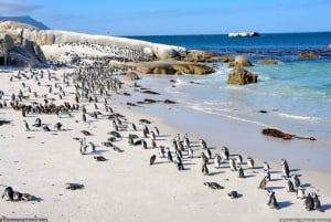 South Africa: Itinerary, Transport & Hotels