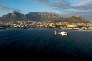 Stellenbosch: Full Cape Peninsula Flight