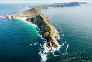 Stellenbosch: Full Cape Peninsula Flight