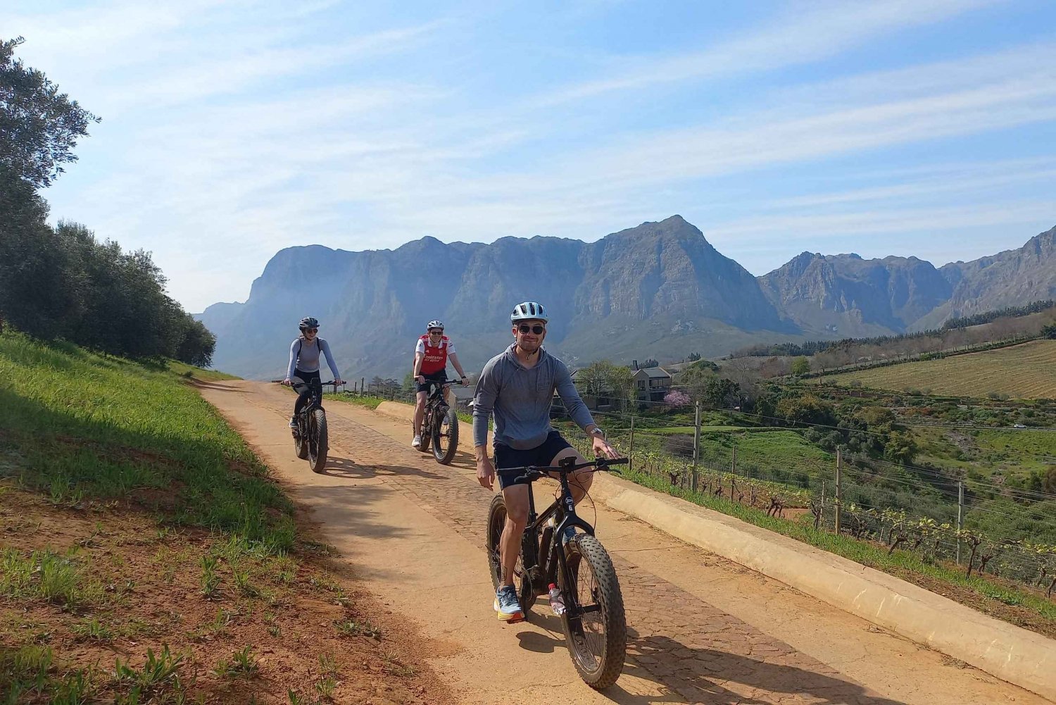 Stellenbosch: Stellenbosch E-Bike & Wine Tour (Yhteinen retki)