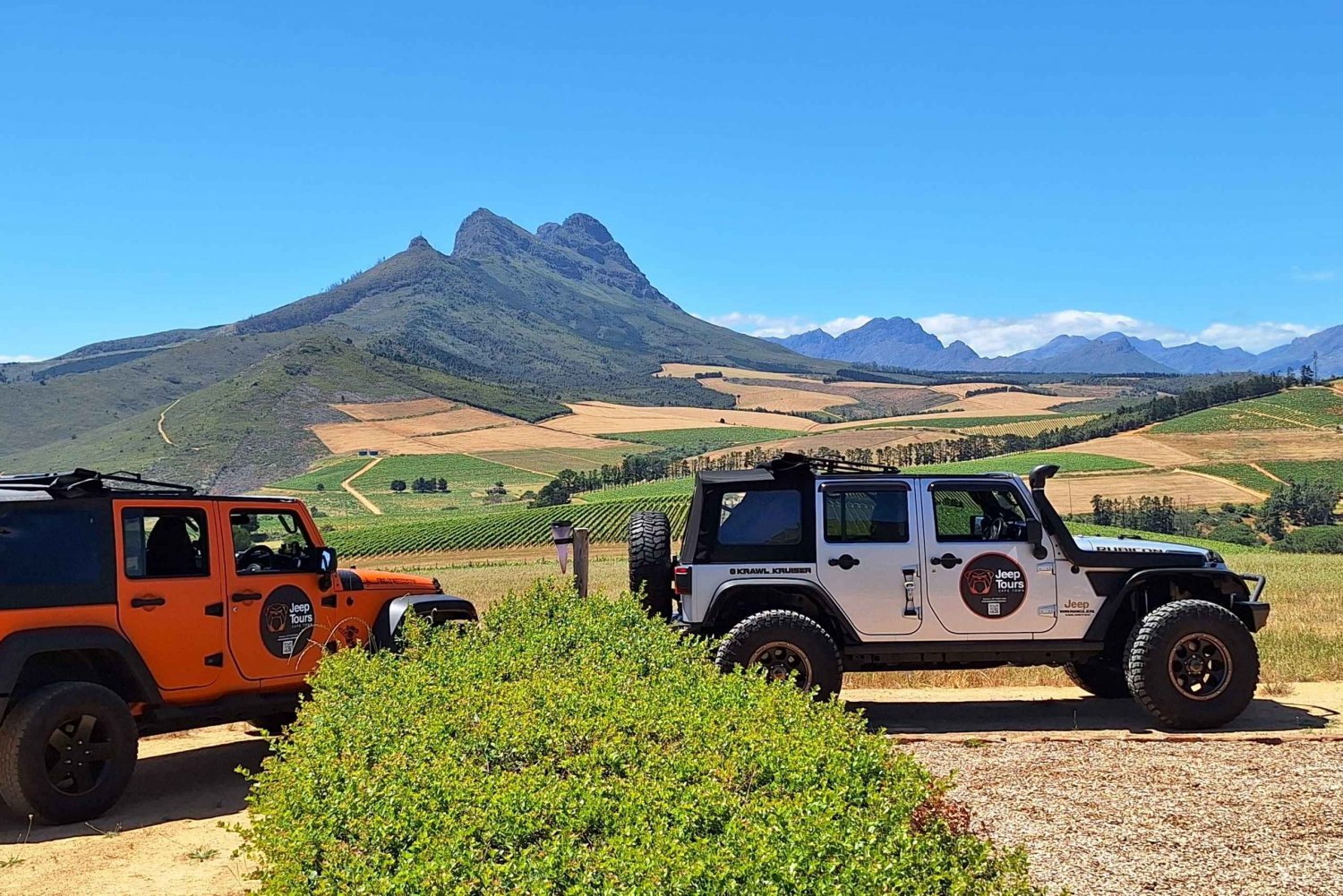 Stellenbosch: Wine Tour - Award Winning Jeep Tours Cape Town