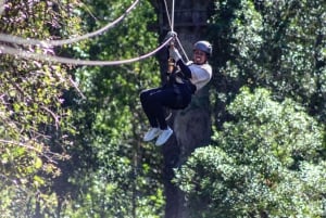 Storms River: Tsitsikamma National Park Zipline Canopy Tour