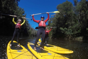 Stormsrivier: Green Route Tubing and Paddle-Boarding Tour