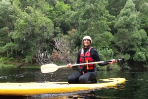 Stormsrivier: Green Route Tubing- ja melontaretki