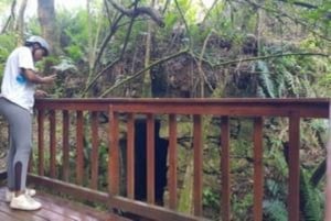 Stormsrivier Village : Alquiler de bicicletas 1 hora - Niños