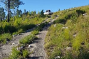 Stormsrivier Village: 2 timers sykkel- og piknikutleie - barn