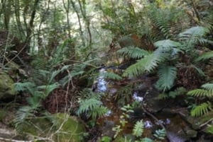 Stormsrivier Village : 2 tunnin pyörävuokraus - aikuiset