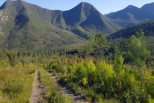 Village de Stormsrivier : Aventure cycliste au col de Bloukrans - Adulte