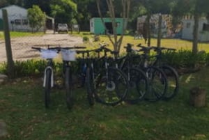 Stormsrivier Village: Halvdags cykeludlejning - voksne