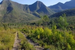 Stormsrivier Village : Picknick- en Huurpakket - Kinderen