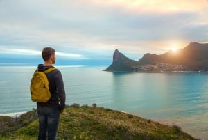 Table Mountain, Boulders Penguins & Cape point Private Tour