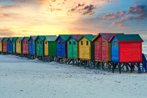 Table Mountain, Boulders Penguins & Cape point Private Tour
