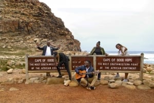 Table Mountain, Boulders Penguins & Cape point Private Tour