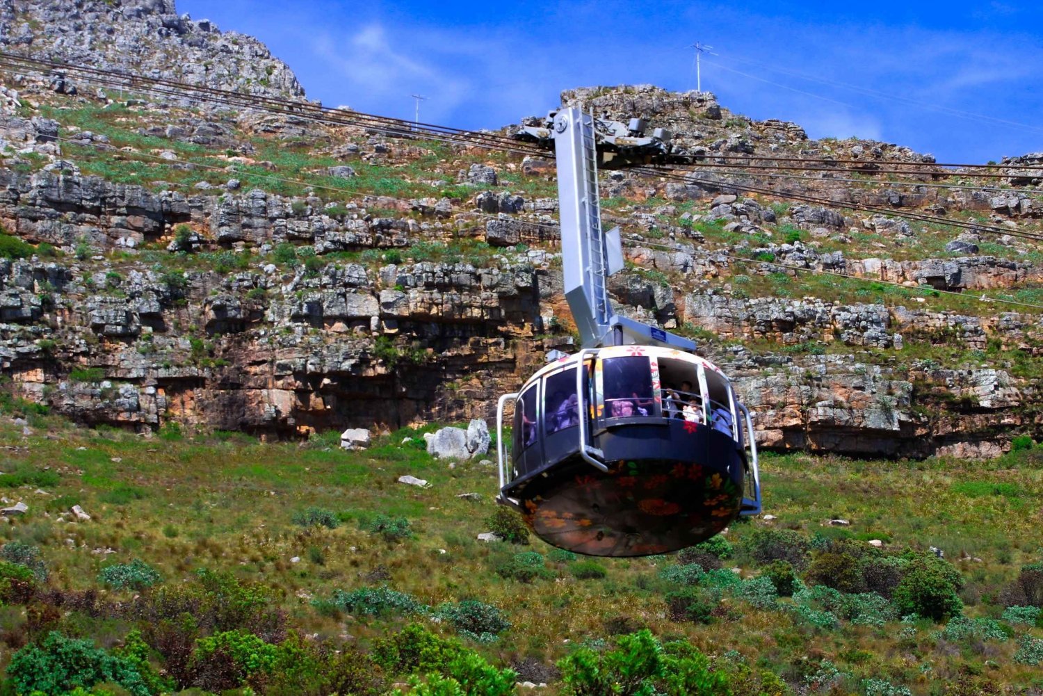 Excursão em grupo a Table Mountain, Cape Point e Pinguins