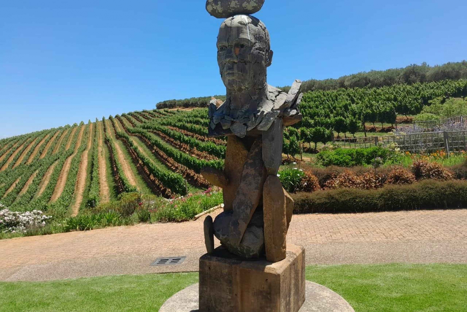 Table Mountain, Cape Point, Penguin Groot Constantia P Tour