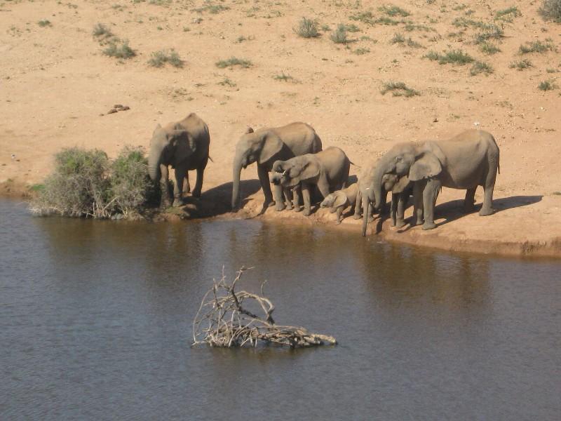 Tour of Addo Elephant National Park