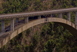 Tsitsikamma Avontuur: Een eendaagse tocht vol natuur en sensatie