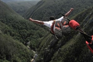 Tsitsikamma: Bungee Jump with Zipline and Sky Walk