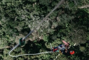 Plettenberg Bay: Bungee Jumping with Zipline and Sky Walk