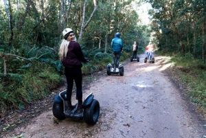 Tsitsikamma National Park: 1 or 2-Hour Segway Tour