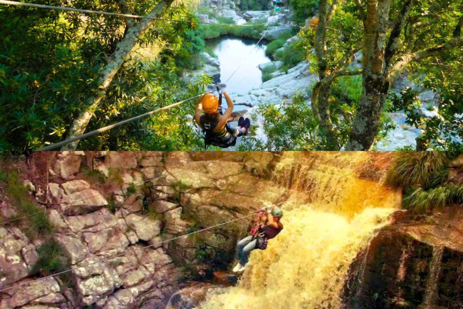 Tsitsikamma : Seal the Adventure Day Tour