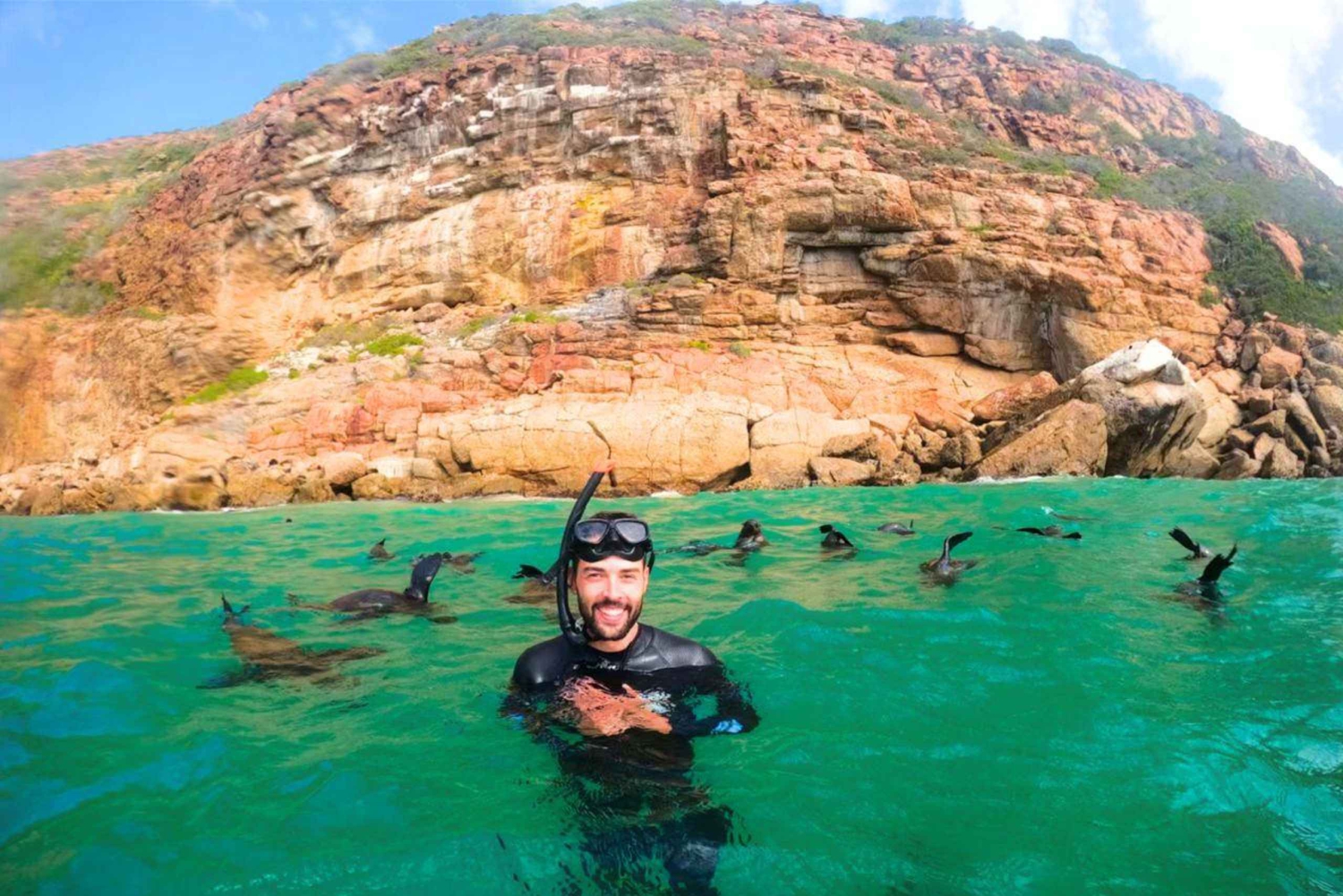 Tsitsikamma : Seal the Adventure Day Tour