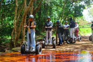 Tsitsikamma : Seal the Adventure Day Tour