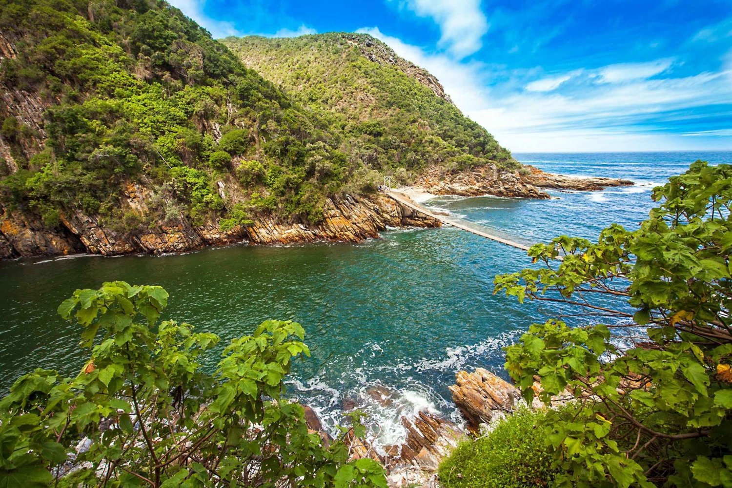 Tsitsikamma: Storms River Mouth Tour: Zipline Experience & Storms River Mouth Tour