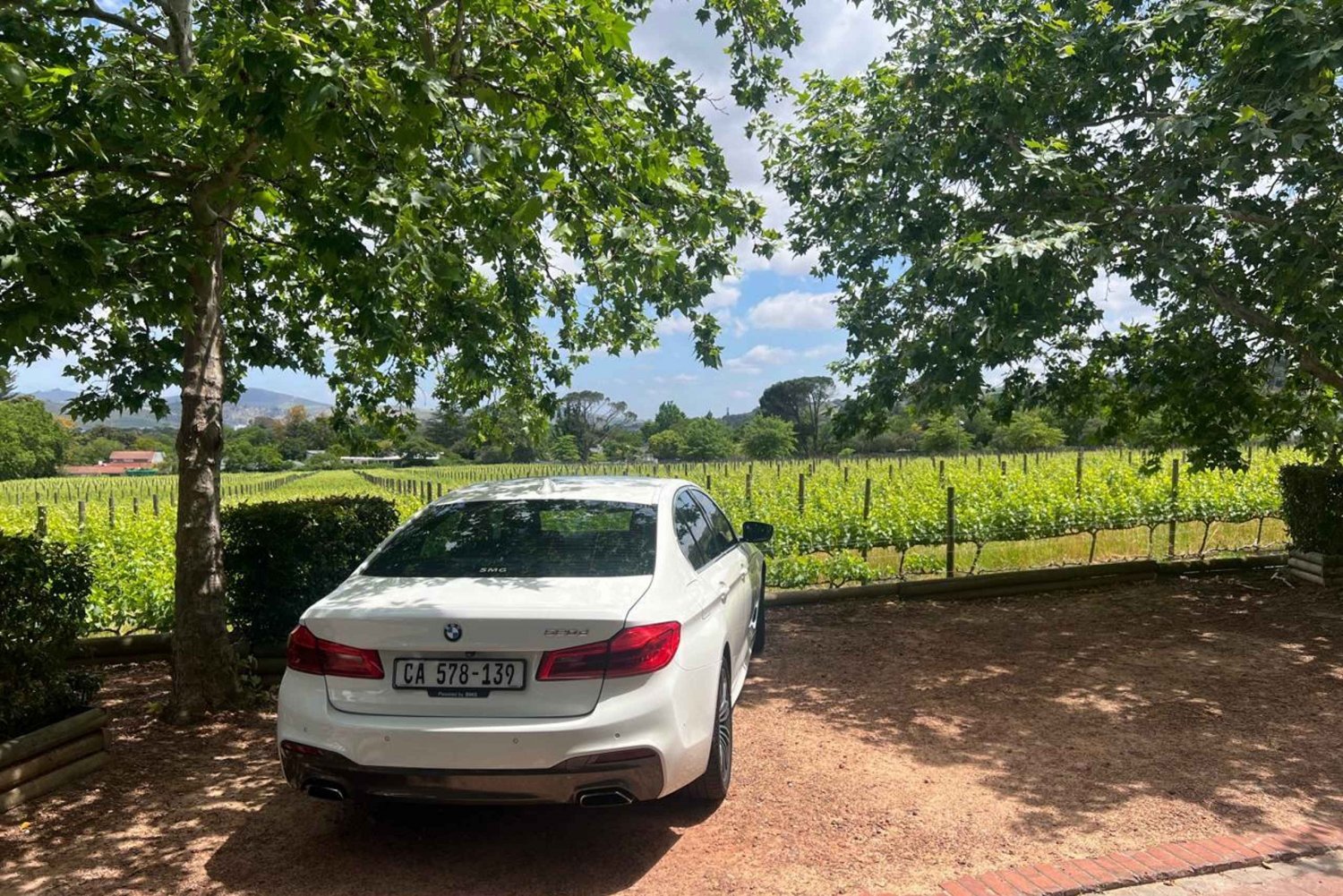 Cata de vinos en Stellenbosch, Franschhoek y Paarl