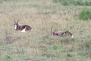 Tour a pie por la cordillera de Zuurberg y barbacoa