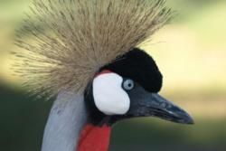 Gamtoos River Valley