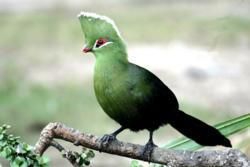 Gamtoos River Valley