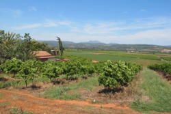 Gamtoos River Valley