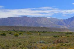 Karoo