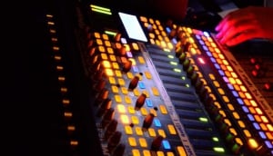 Nazca or 'Masked' Boobies